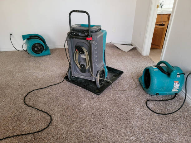 Best Carpet water damage restoration  in University Of Lifornia Davis, CA
