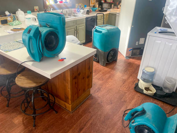 Best Flood damage cleanup  in University Of Lifornia Davis, CA
