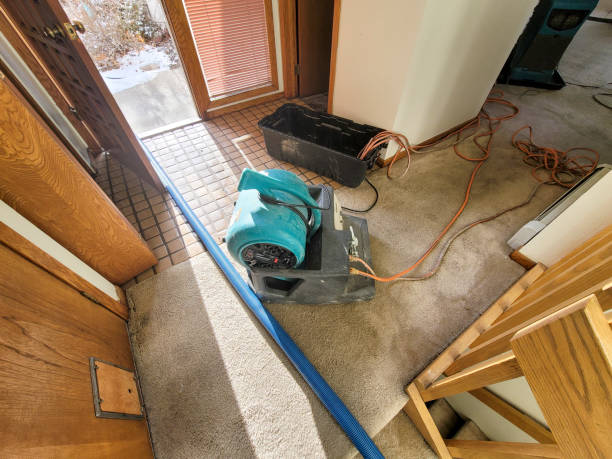 Best Residential water damage restoration  in University Of Lifornia Davis, CA