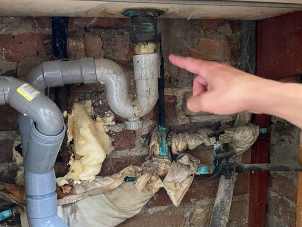 Best Mold removal after water damage  in University Of Lifornia Davis, CA