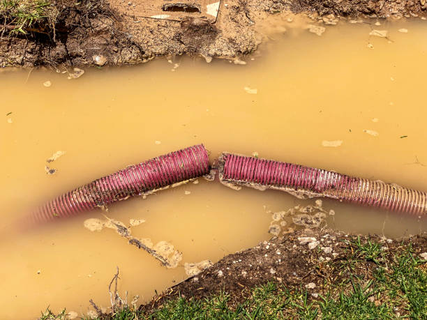 Best Basement water damage restoration  in University Of Lifornia Davis, CA