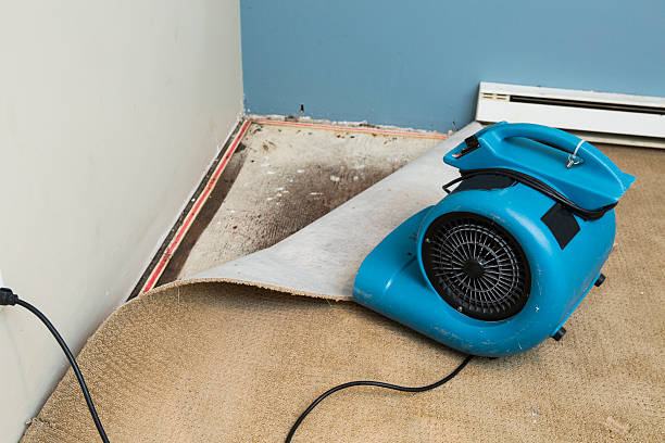  University Of Lifornia Davis, CA Water damage restoration Pros